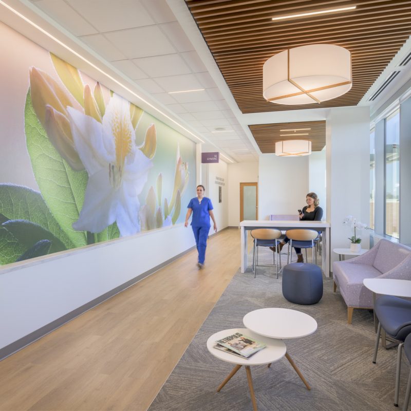 Interior image of Virginia Hospital Center Women's Outpatient Pavilion in Arlington VA by Jeffrey Sauers of CPI Productions