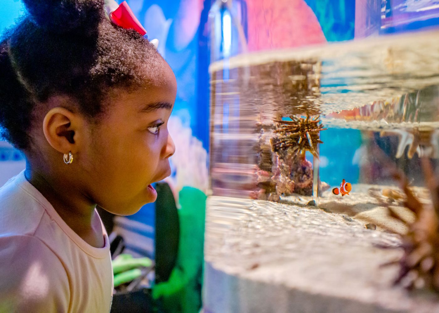 4_LearningExperience