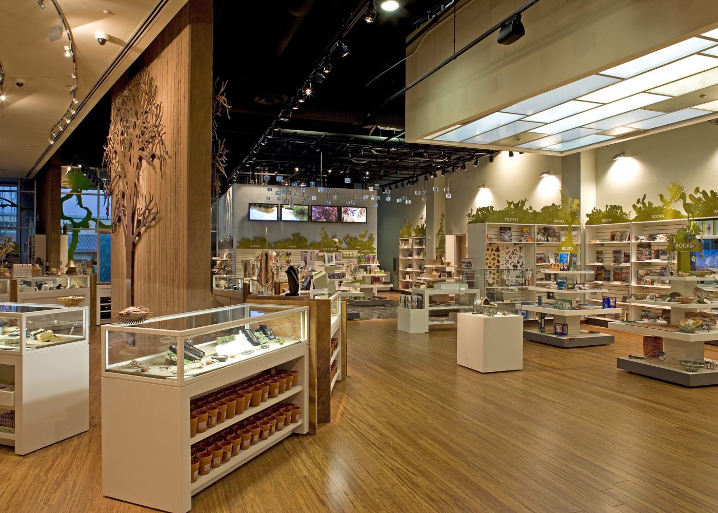 Las Vegas Springs Preserve5282