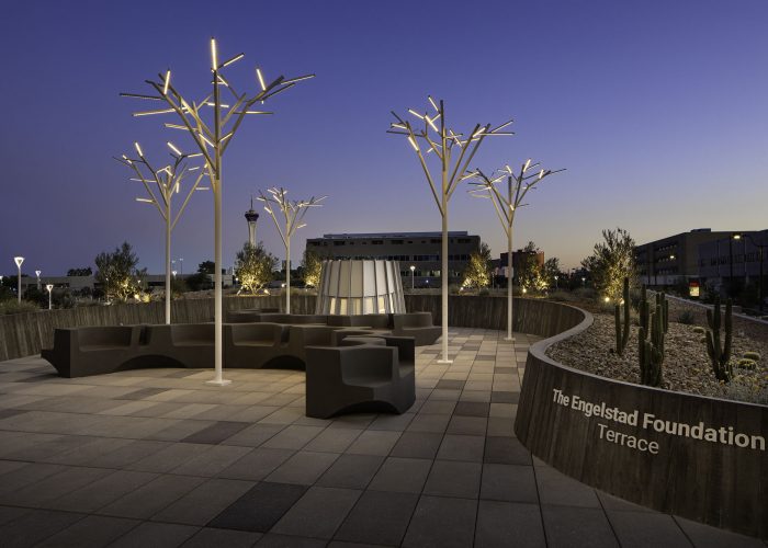 TSK Architects, M.J. Dean Construction / UNLV Medical School /  Photography by Tom Bonner  /  Job ID 6668