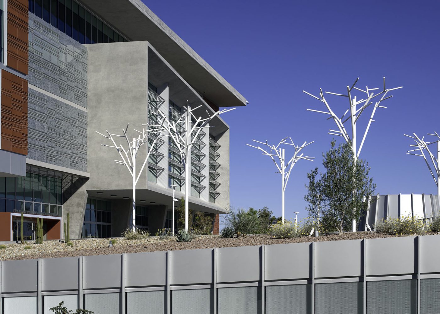TSK Architects, M.J. Dean Construction / UNLV Medical School /  Photography by Tom Bonner  /  Job ID 6668