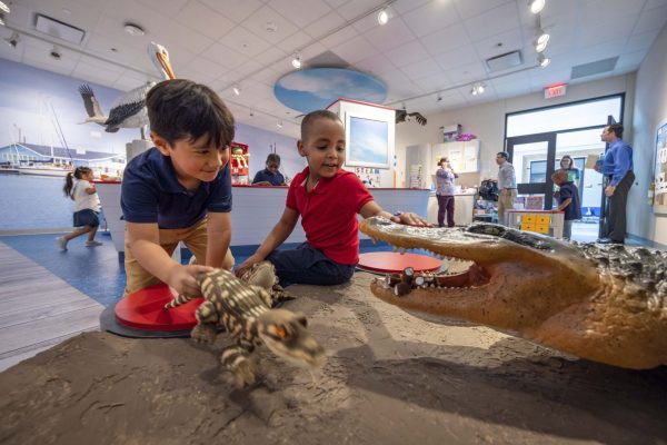 Alief Martinez ELC - Featured