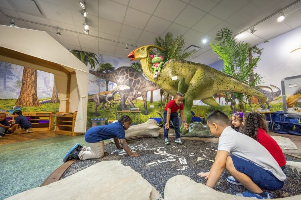 Classroom-Experience_Martinez-ELC_Alief-ISD-10_jpg