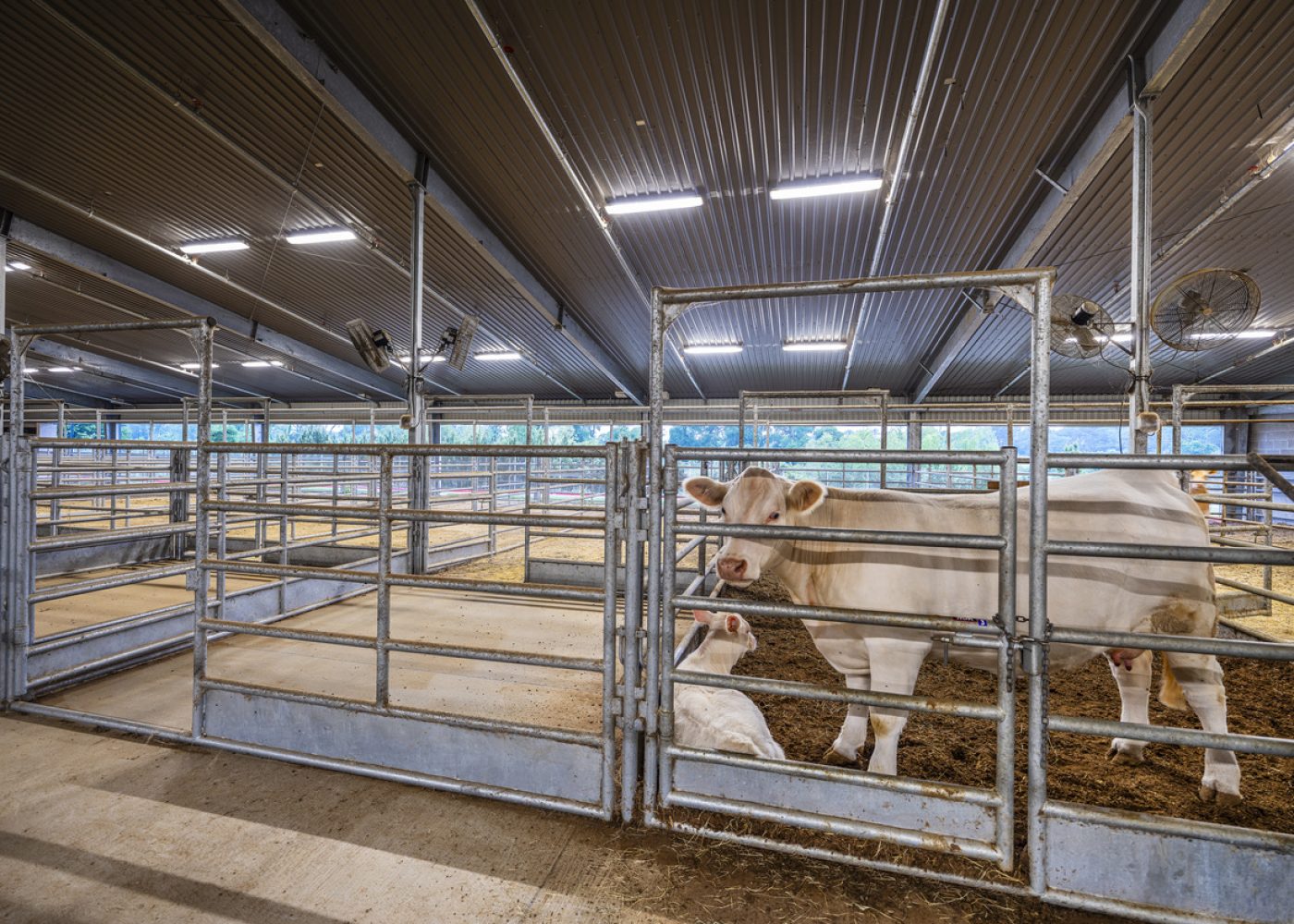 Montgomery ISD District Agricultural Science Center - The DEN - Montgomery, TX 041726