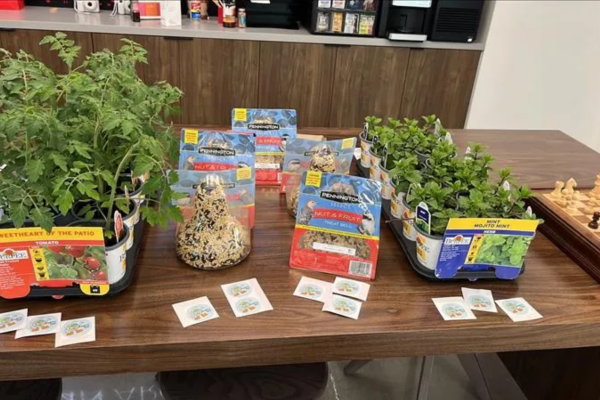 Houston office Earth Day plants and birdseed