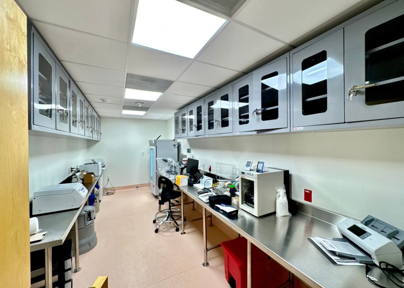 Project - Kindbody (7)_jpg