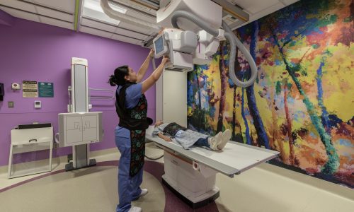 Xray2897_medres