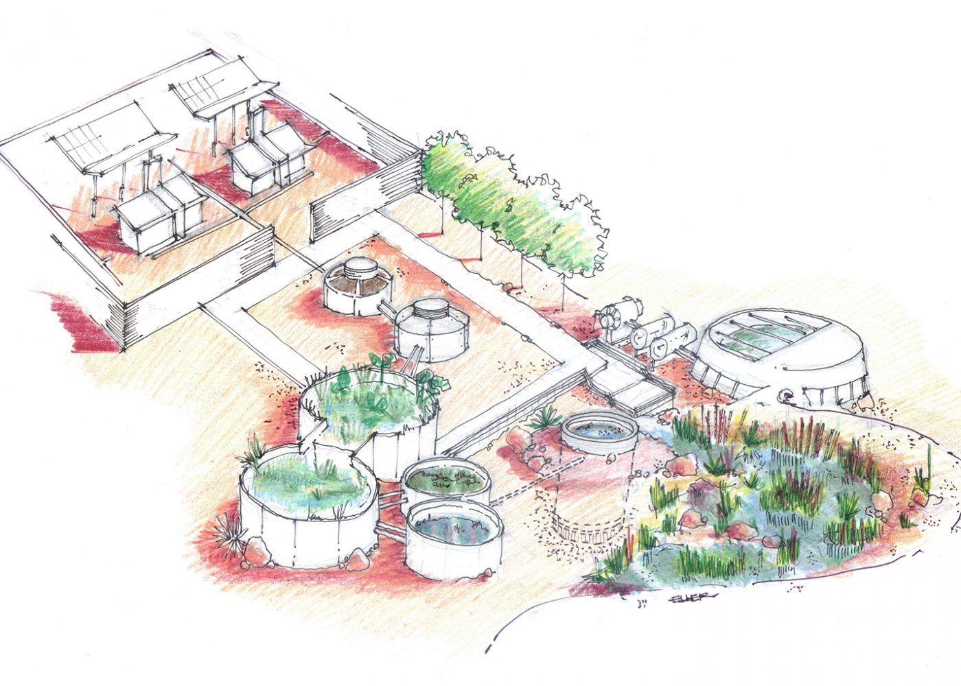 animal-campus-dog-adoption-park-sketch1