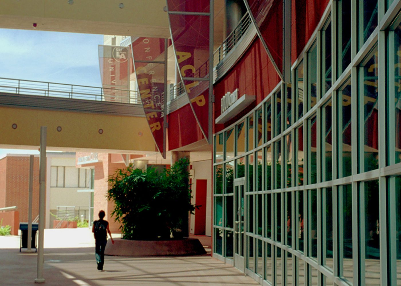 california-state-university-los-angeles-golden-eagle-5