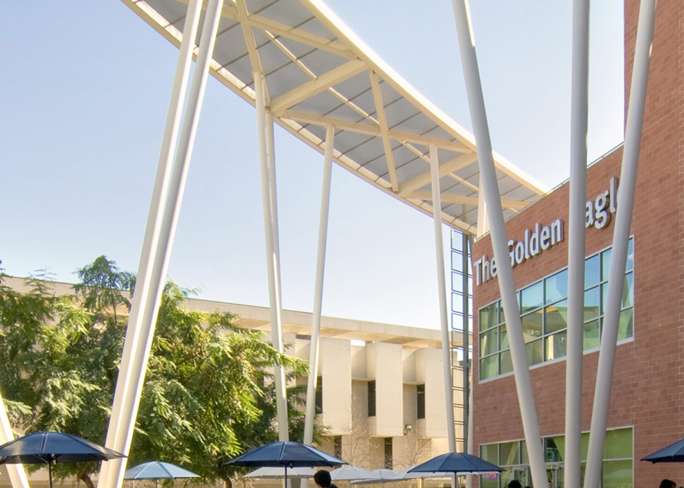 california-state-university-los-angeles-golden-eagle-7