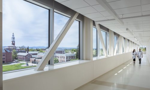 uvm_sky_bridge_v3_png
